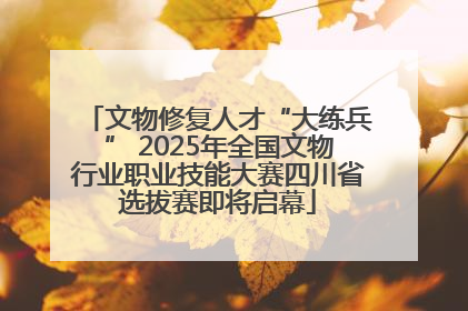 文物修复人才“大练兵” 2025年全国文物行业职业技能大赛四川省选拔赛即将启幕